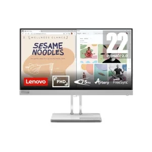 Lenovo L22e-40, 21.4 Inch (54.48 cm), FHD 1920x1080, 75Hz, Grey, 4ms, 16.7Mn Colors, AMD FreeSync, TUV Eye Comfort, Low Blue Light, Smart Display Customization Artery, HDMI Monitor